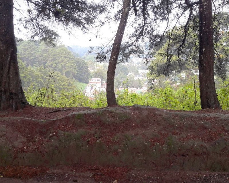 TERRENO EN VENTA EN STA ROSALIA LA LAGUNA