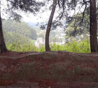 TERRENO EN VENTA EN STA ROSALIA LA LAGUNA