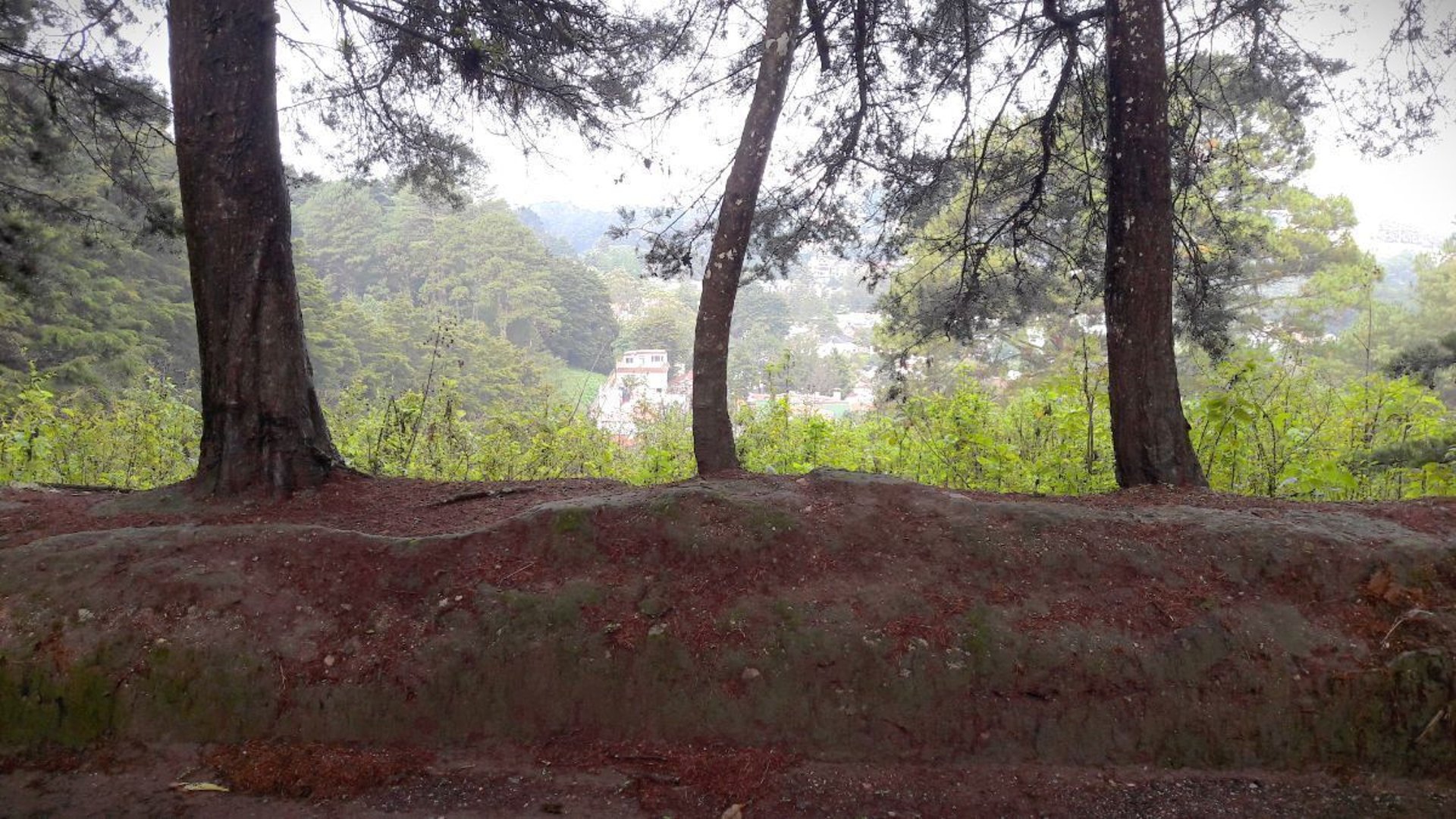 TERRENO EN VENTA EN STA ROSALIA LA LAGUNA