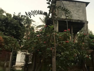 Excelente terreno de 17 manzanas en Nueva Concepción Escuintla - 4