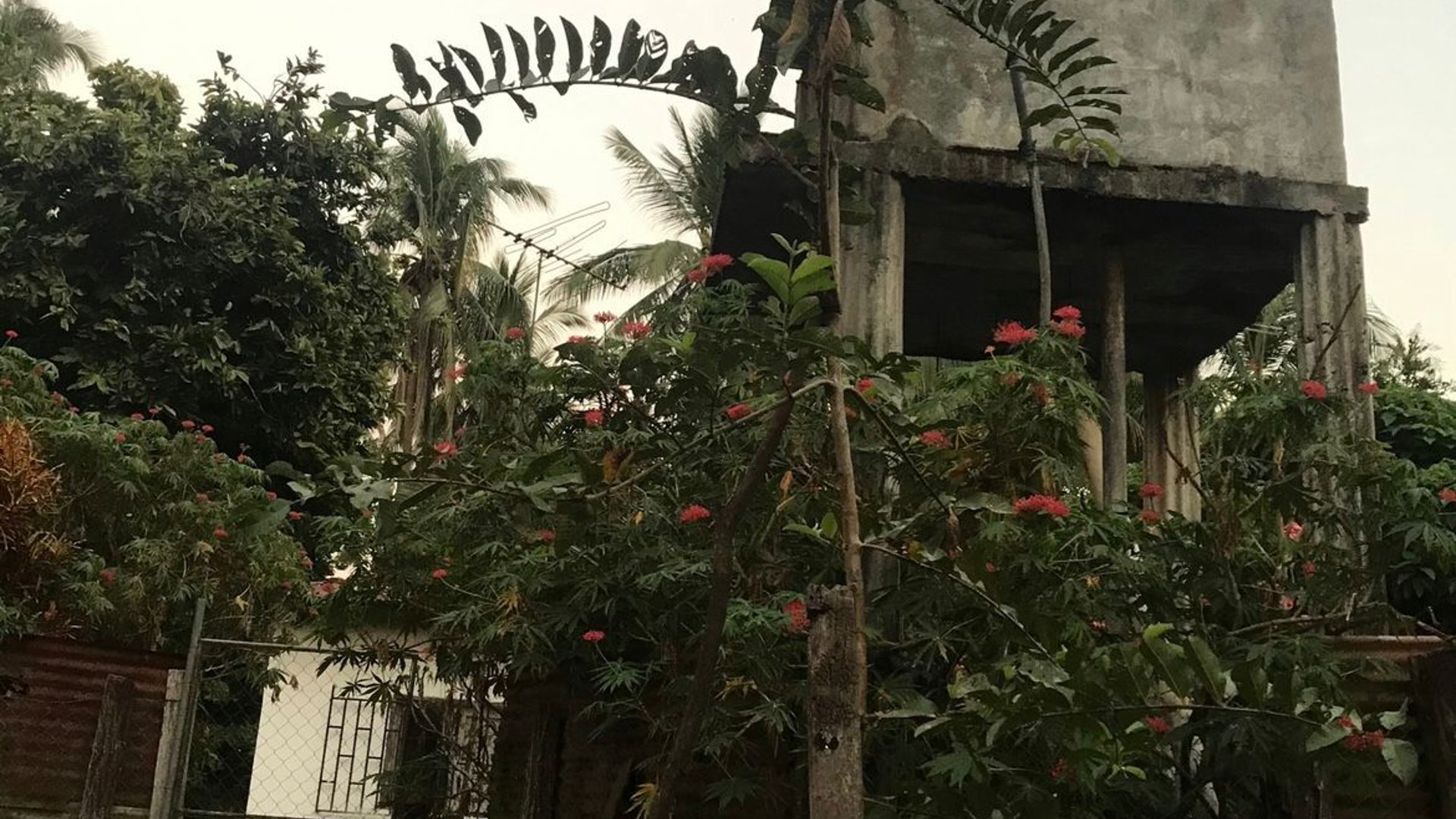 Excelente terreno de 17 manzanas en Nueva Concepción Escuintla - Miniatura 4