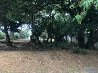 Terreno en venta, Condominio Bosques de San Isidro.  - 2