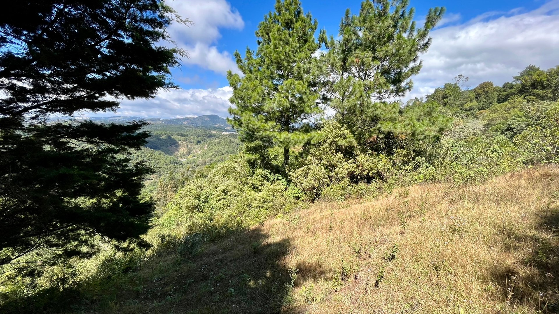 VENTA Finca Flor de Carmelo San José Pínula  - Miniatura 4