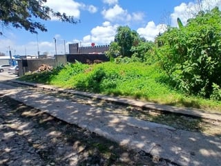 TERRENO EN ALQUILER EN CAES KM 19.5 - 2