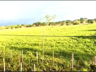 TERRENO EN VENTA EN PETEN - 4