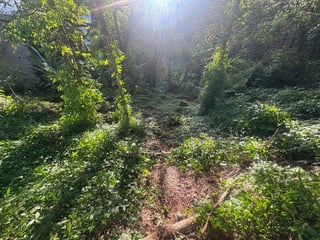 TERRENO EN VENTA EN SANTA ROSALIA - 2