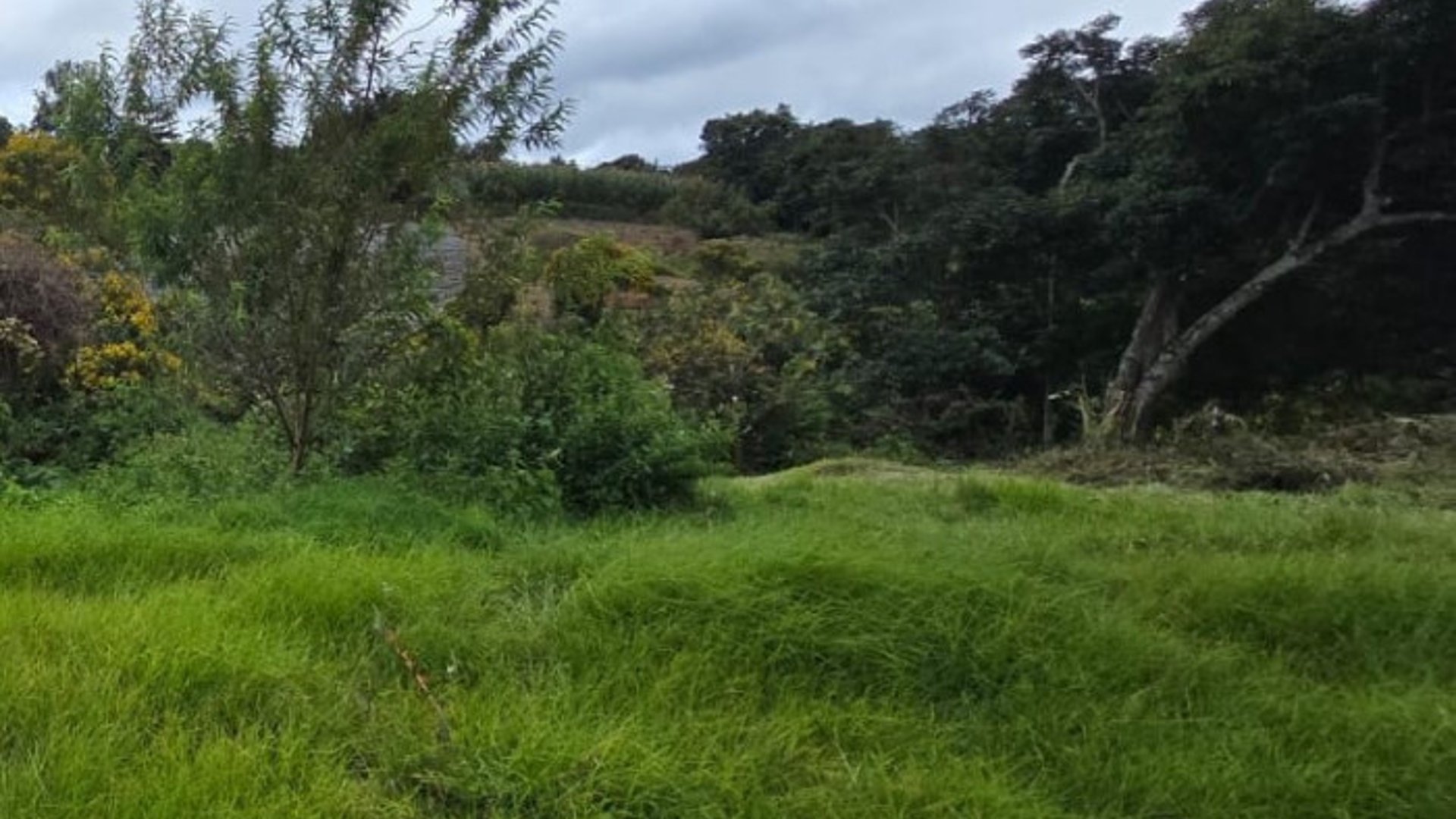Terreno en Venta Granja Villas Alicia KM 32.9 Santiago - Miniatura 5
