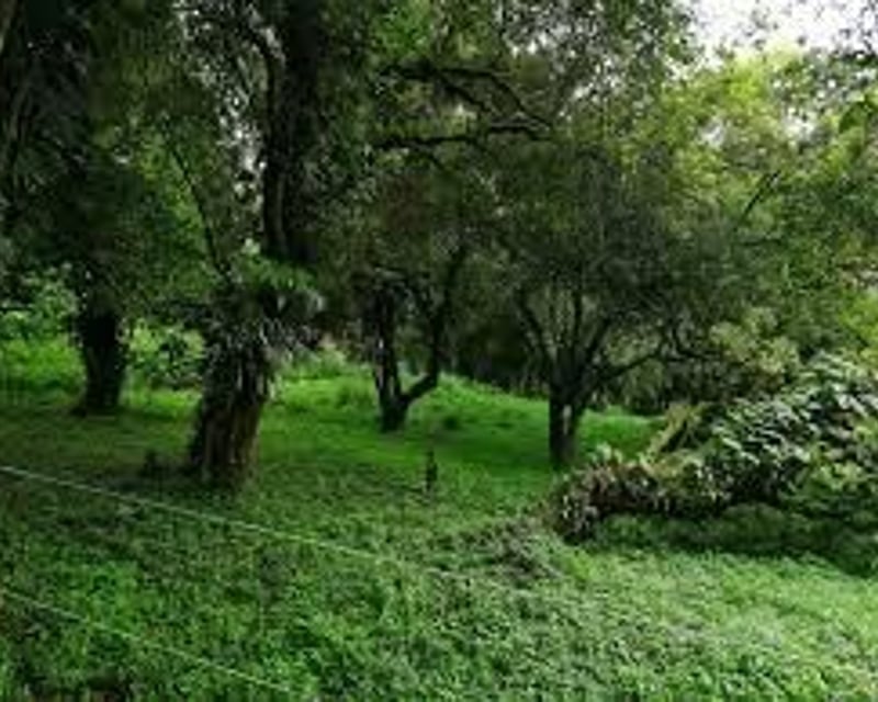 Terrenos en Venta San German de la montaña Km 20.5 camino a Fraijanes