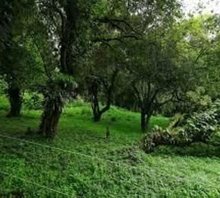 Terrenos en Venta San German de la montaña Km 20.5 camino a Fraijanes