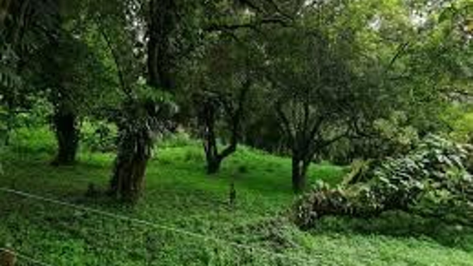 Terrenos en Venta San German de la montaña Km 20.5 camino a Fraijanes