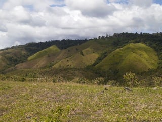 FINCA PROPIEDAD FORESTAL Y DE CONSERVACIÓN EN PETÉN - 2