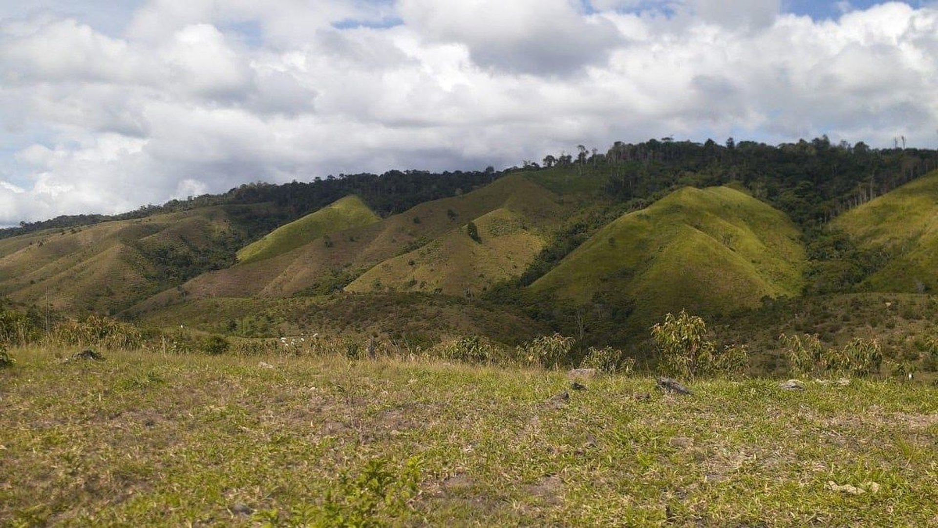 FINCA PROPIEDAD FORESTAL Y DE CONSERVACIÓN EN PETÉN - Miniatura 2