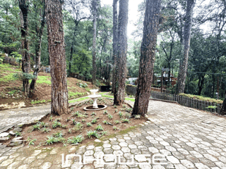 CASA EN VENTA EN KM 24 CARRETERA A SAN LUCAS CON PISCINA  - Image 3