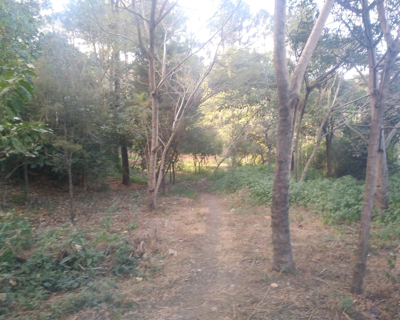 FINCA EN VENTA EN CIRCUNVALACIÓN LAGO DE AMATITLÁN