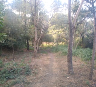 FINCA EN VENTA EN CIRCUNVALACIÓN LAGO DE AMATITLÁN