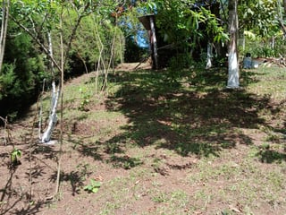 Terreno en Venta en San José Pinula, Aldea Las Anonas - 3