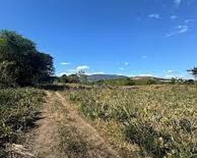 Terreno en Venta | 10 Manzanas | El Jocotillo, Villa Canales