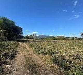 Terreno en Venta | 10 Manzanas | El Jocotillo, Villa Canales