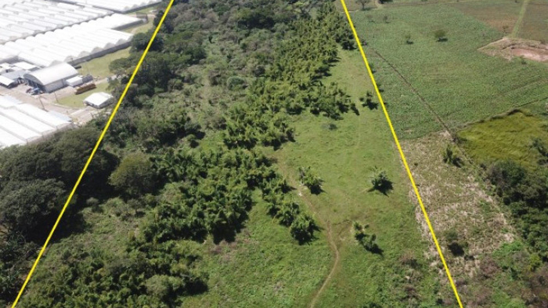Atención Inversionistas, Terreno en Venta Guatemala - Miniatura 4