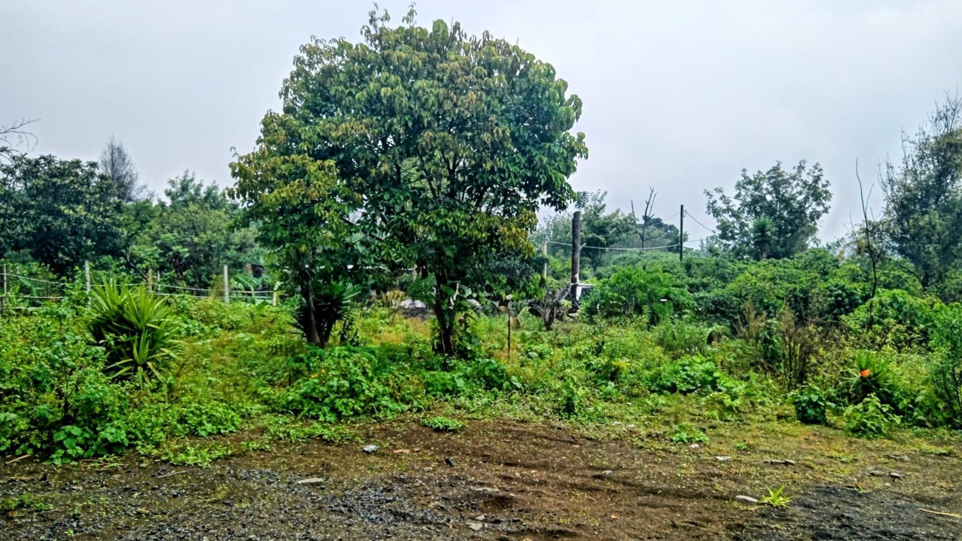 SE VENDE TERRENO SAN MIGUEL ESCOBAR - Miniatura 5
