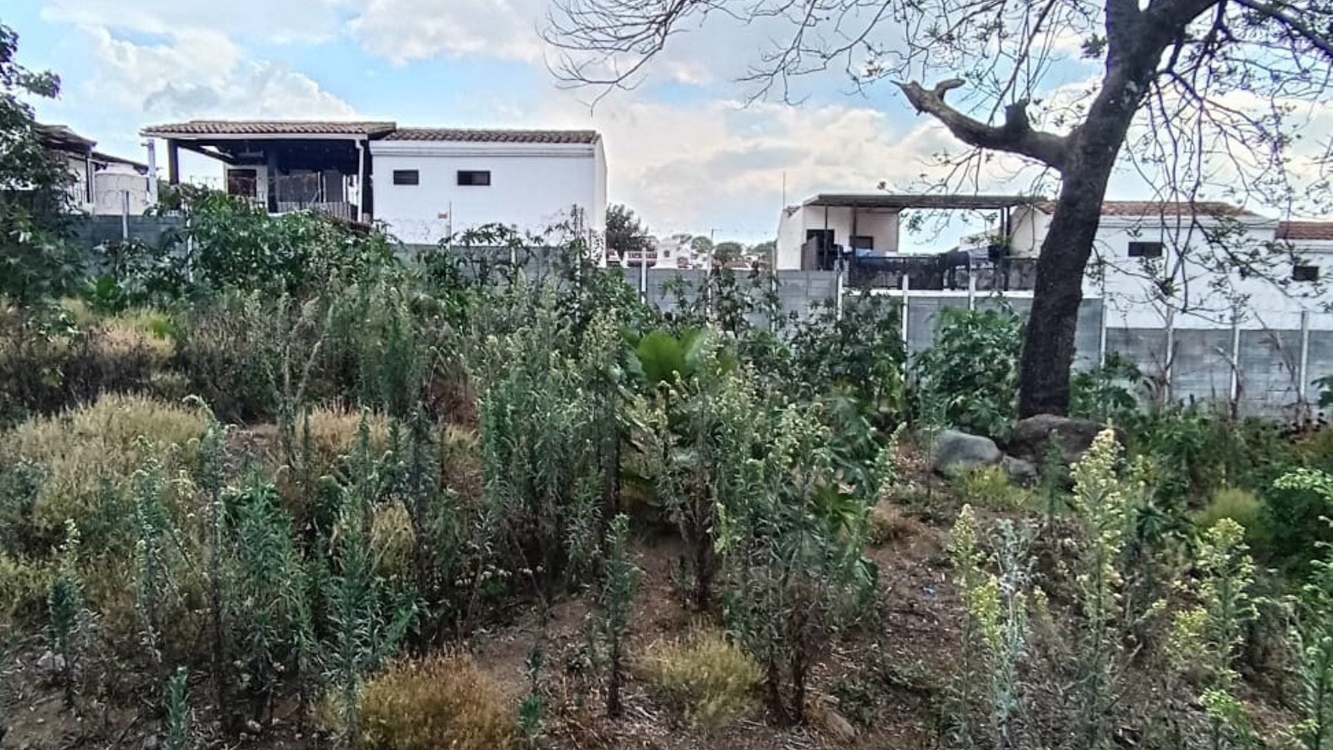 Terreno amplio en San Pedro Las Huertas - Miniatura 5