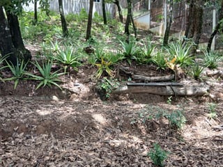 Terreno en venta en Ciudad San Cristobal - Image 8