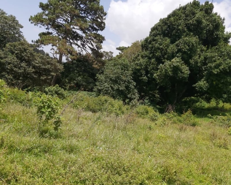 Terreno en venta en Fraijanes, El Sausalito