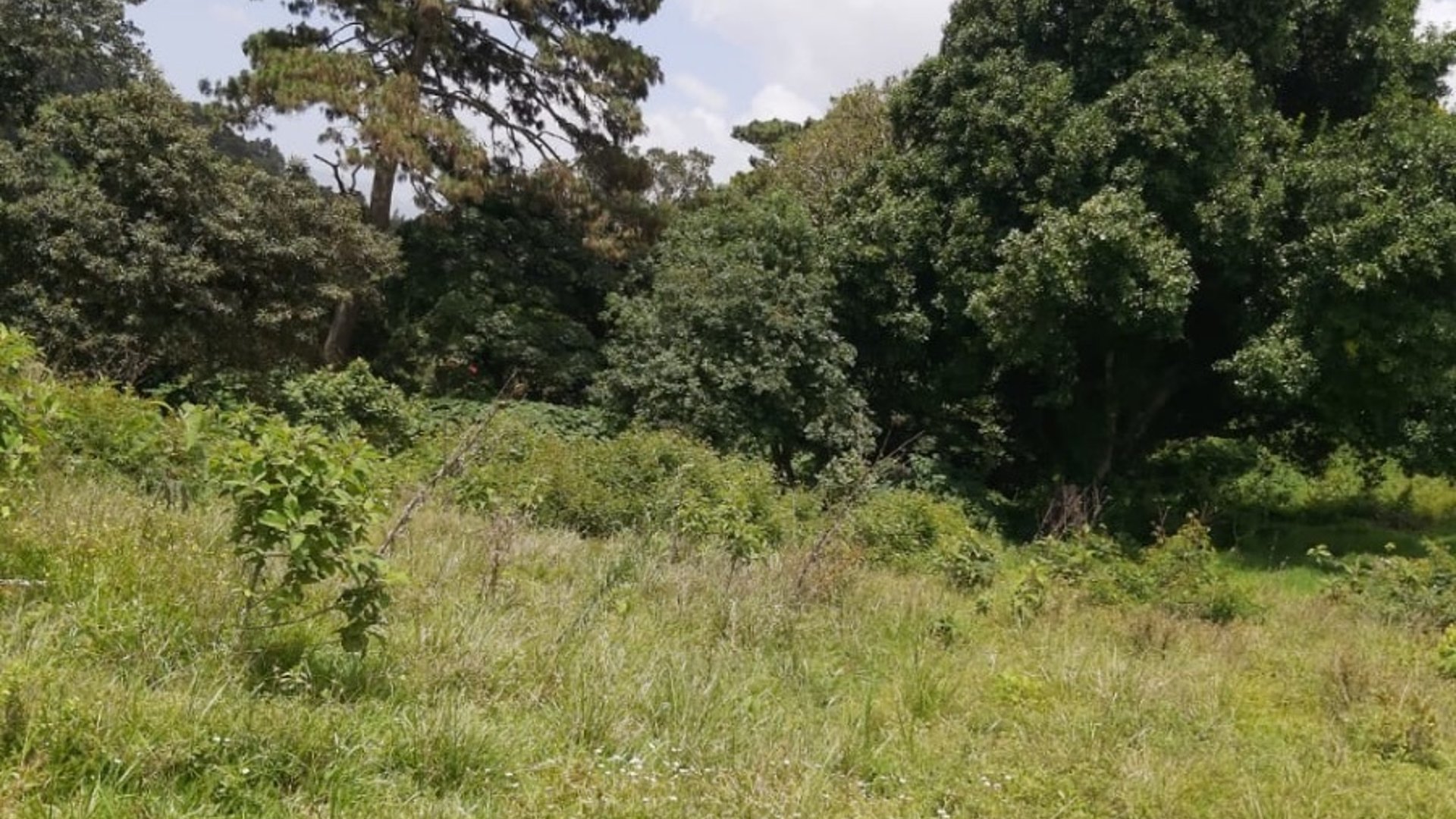 Terreno en venta en Fraijanes, El Sausalito