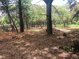 Terreno en VENTA en  Casa y Campo - 2