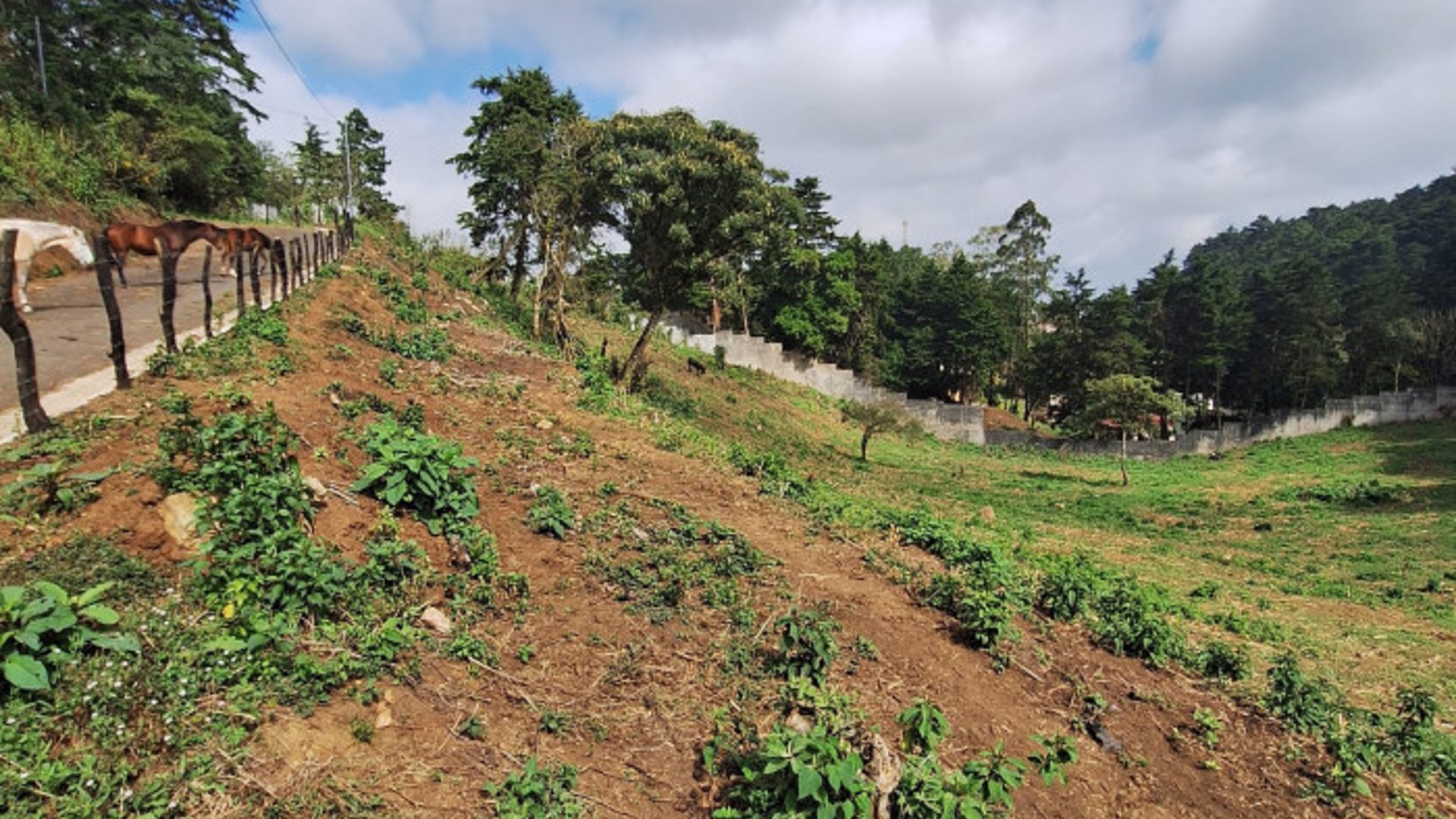 Terreno comercial en alquiler en Santa Catarina Pinula