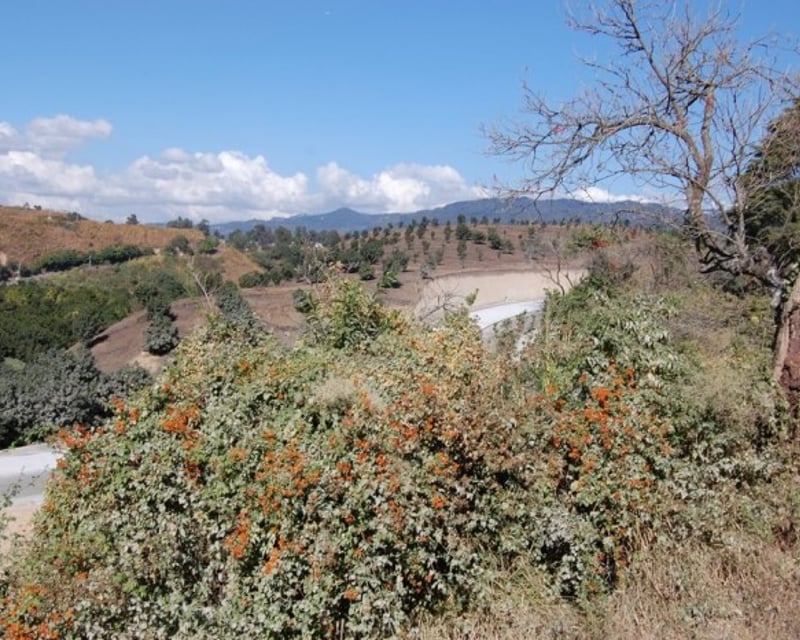EXCELENTE FINCA EN VENTA SAN MIGUEL PETAPA SUR