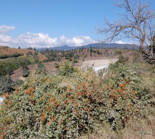 EXCELENTE FINCA EN VENTA SAN MIGUEL PETAPA SUR