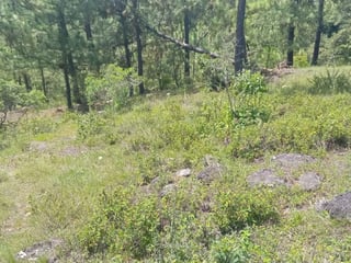 TERRENO EN VENTA – HUEHUETENANGO (PIEDRAS NEGRAS) - 5