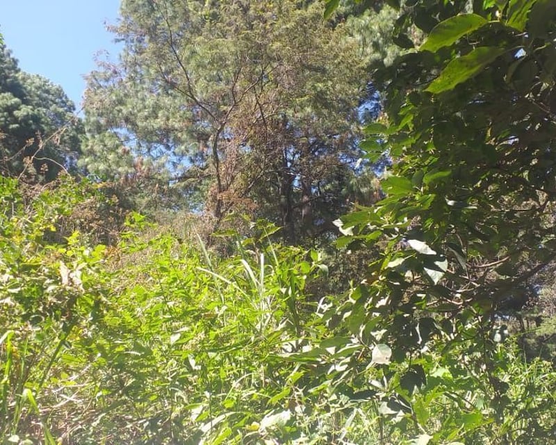 Vendo Terreno,  Zona 1 Mixco.
