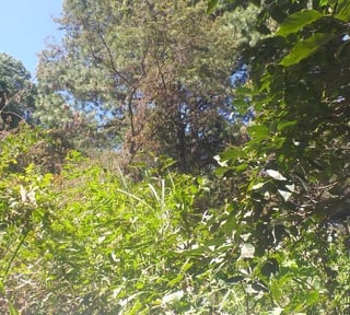 Vendo Terreno,  Zona 1 Mixco.
