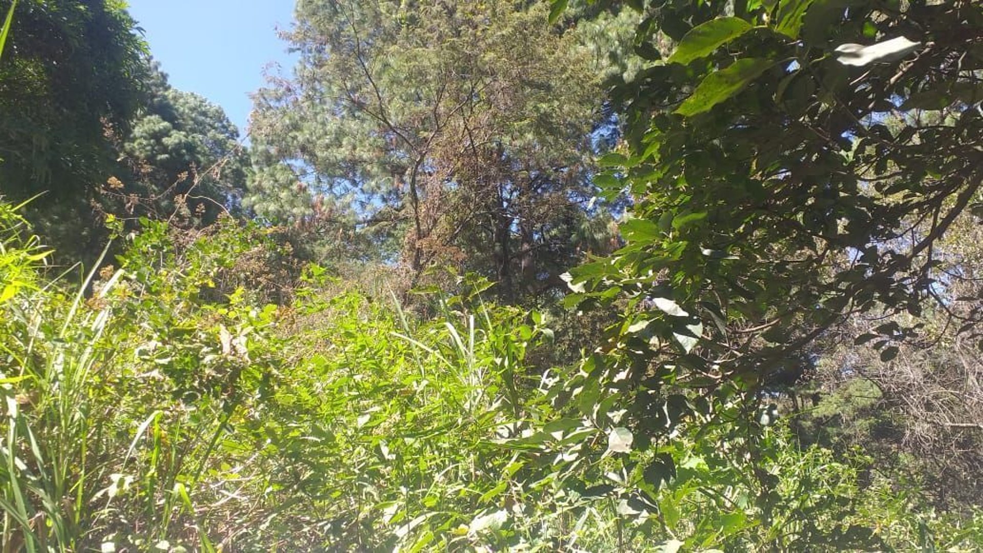 Vendo Terreno,  Zona 1 Mixco.