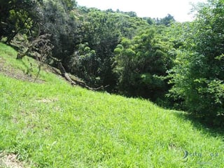 TERRENO RESIDENCIAL EN VENTA SAN GERMAN DEL BOSQUE FRAI - 3