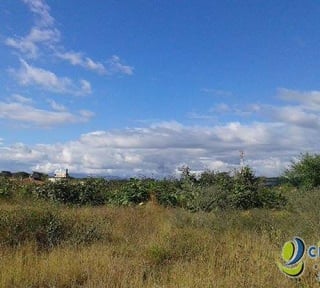 Terreno Comercial en Renta por Metro² en Sanarate