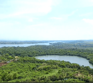 TERRENO EN VENTA EN RIO DULCE