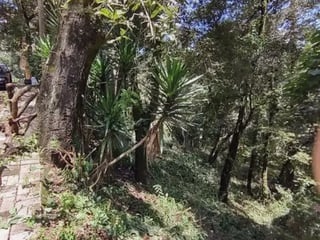 Terreno en Venta en Los Encinos1 km 26 carretera a San Lucas - 4