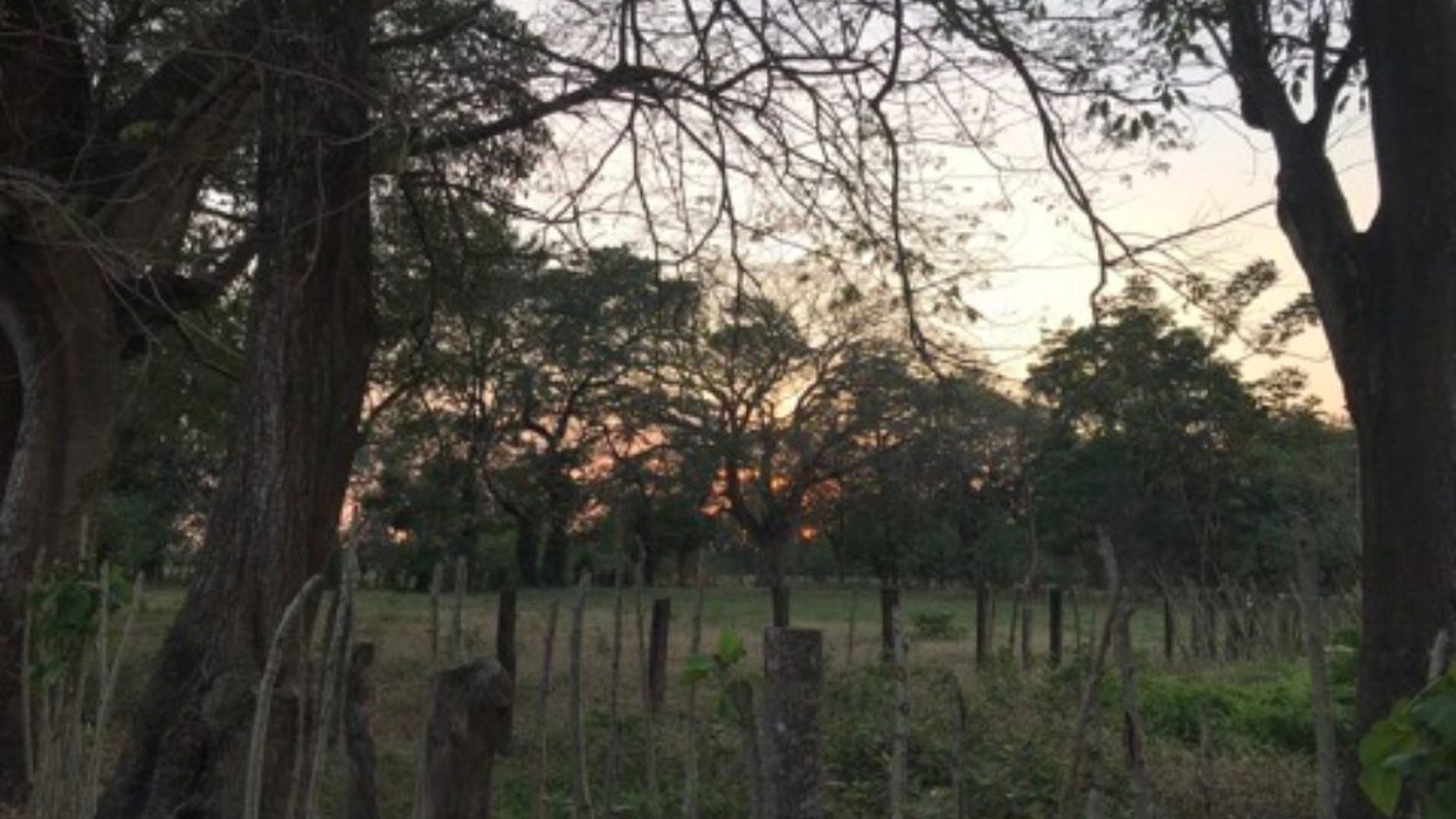 Excelente terreno de 17 manzanas en Nueva Concepción Escuintla - Miniatura 8
