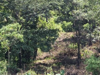 Terreno en Venta Lotificación Quintas del Tejar KM 46 - 3