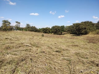 TERRENO EN VENTA EN ZONA 18 – OPORTUNIDAD PARA DESARROLLO INMOBILIARIO - 5