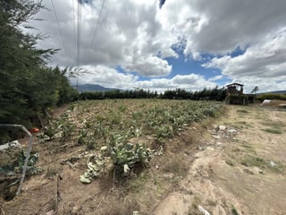 Terreno en renta en Km 72 Ruta Interamericana Patzicia, Chimaltenango - 5