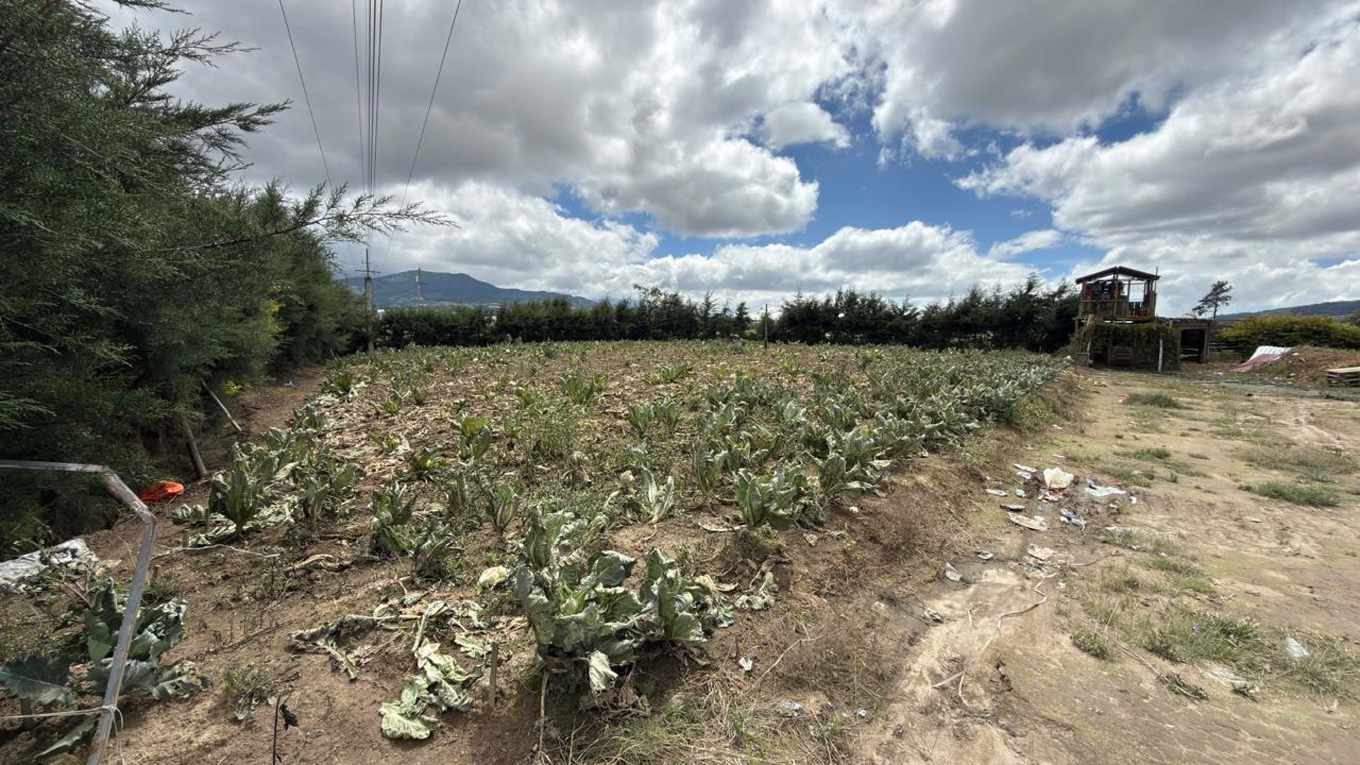 Terreno en renta en Km 72 Ruta Interamericana Patzicia, Chimaltenango - Miniatura 5