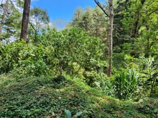 Terreno en Venta Santiago Sacatepéquez, Jardin El Alto - 3