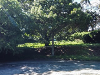 TERRENO EN VENTA DENTRO CONDOMINIO, POR EL ÁREA DE OLMECA  - 4