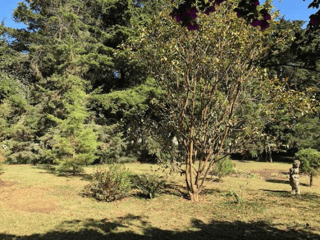 Preciosa casa en venta en carretera a El Salvador - 3