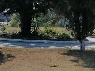 Terreno en Venta Cementerio Jardín Los Olivos, CES - Image 1