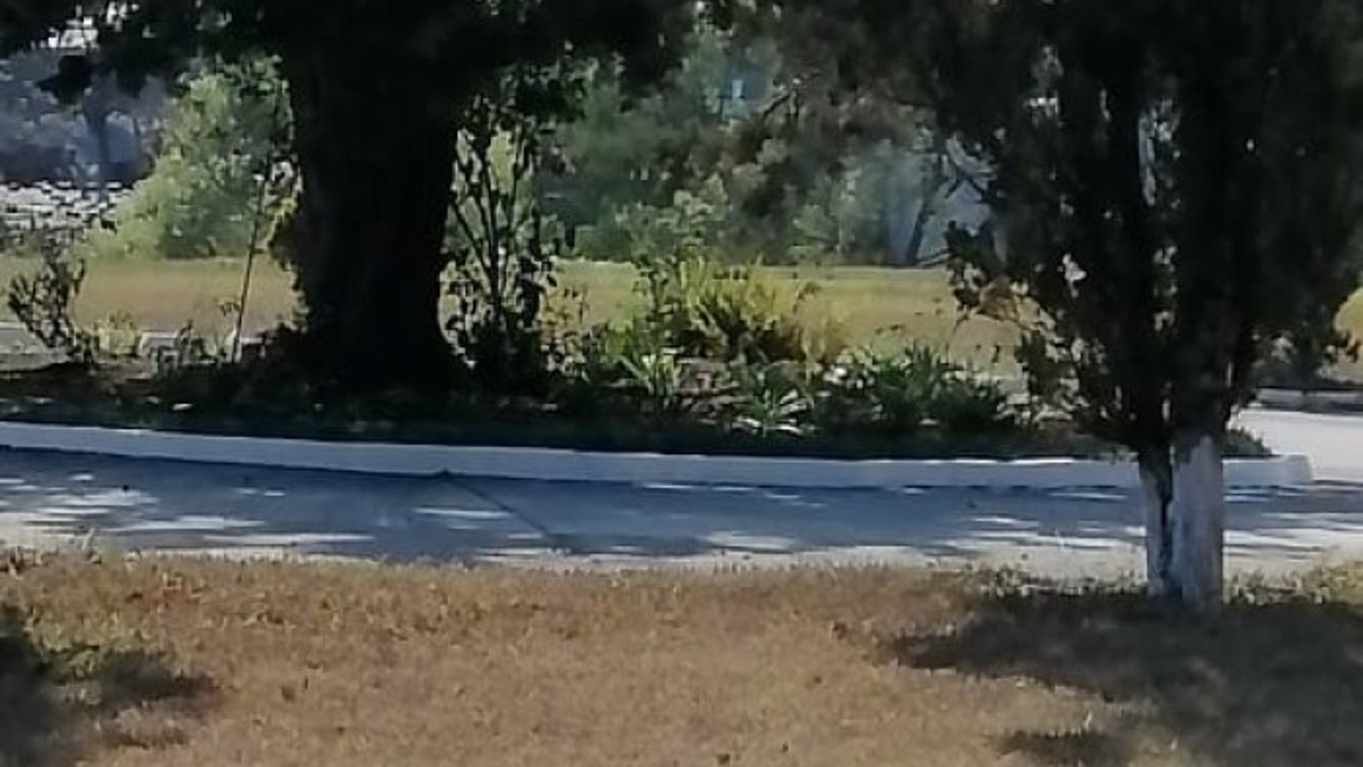 Terreno en Venta Cementerio Jardín Los Olivos, CES